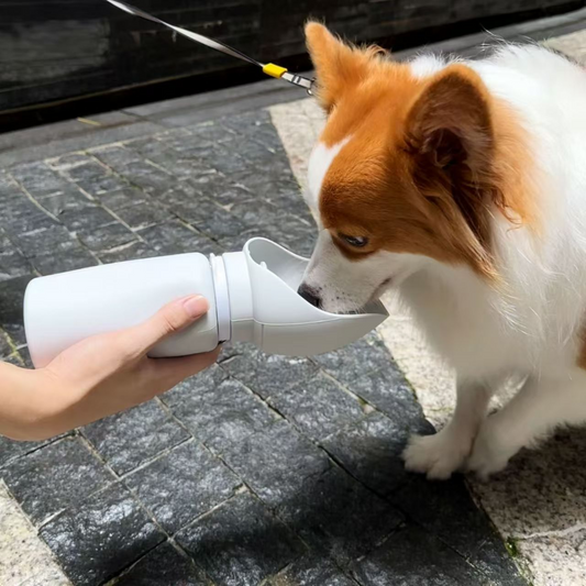 Snazlo Daily – Portable Dog Water Bottle 550ml | Leak-Proof Travel Hydration Feeder for Pets